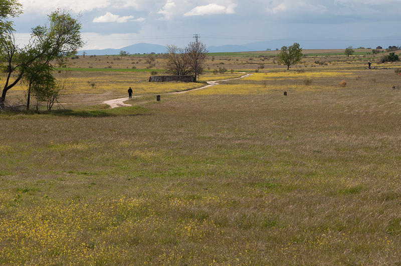 alcorcon01.jpg