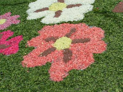 ALFOMBRAS%2001.jpg