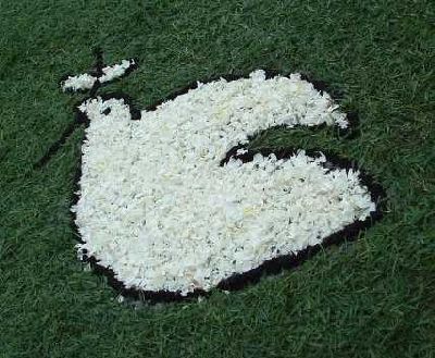 alfombras%20POMBA%20DA%20PAZ.jpg