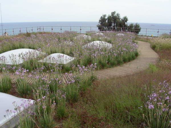 alfombras-de-madera-para-exteriores-F23.jpg