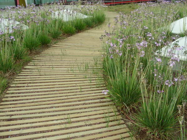 alfombras-de-madera-para-exteriores-F26.jpg