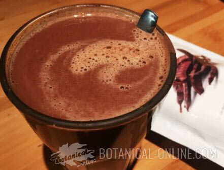algarroba-chocolate-receta.jpg
