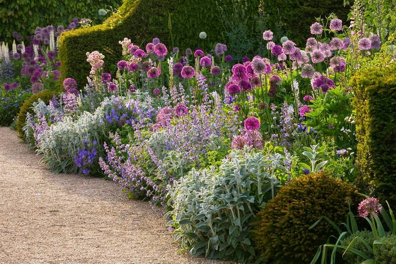 Allium%2Ben%2BCollector%2BEarls%2BGarden%2BArundel%2BCastle.jpg