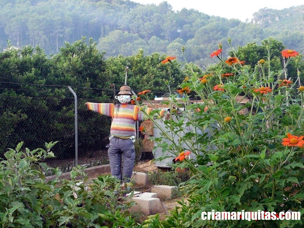 almacen-recompensas-jardin-cria-mariquitas.jpg