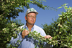 almendros.jpg