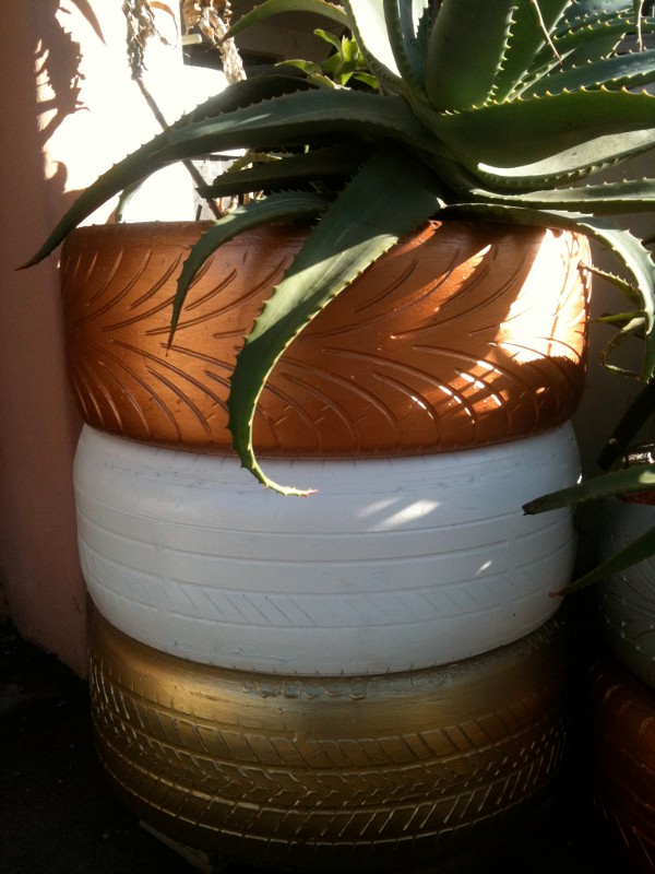 aloe-flower-pot.jpg