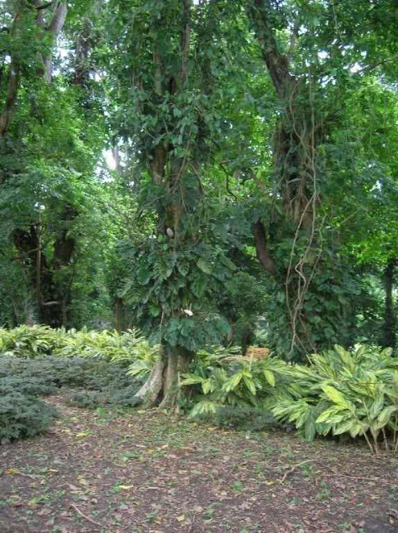 AlpiniadseAnapatricia.jpg