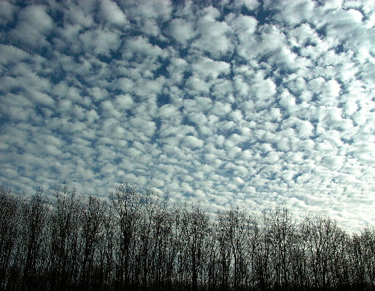Altocumulus-floccus_1872009.jpg