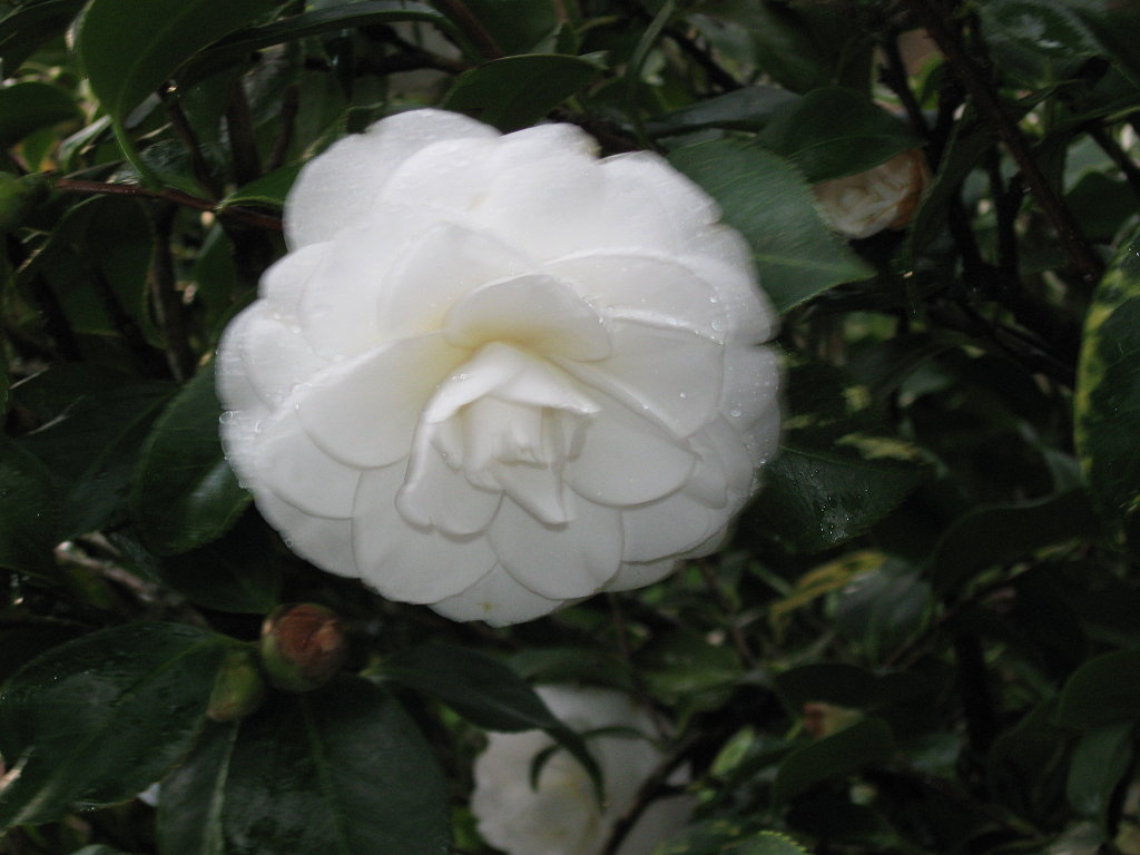 am_44693_3303903_841438.jpg