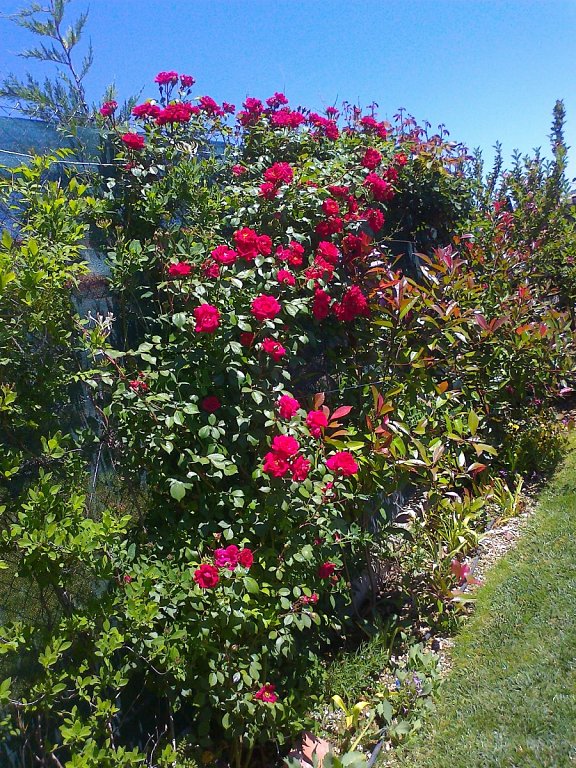 am_721800_6324198_941327.jpg