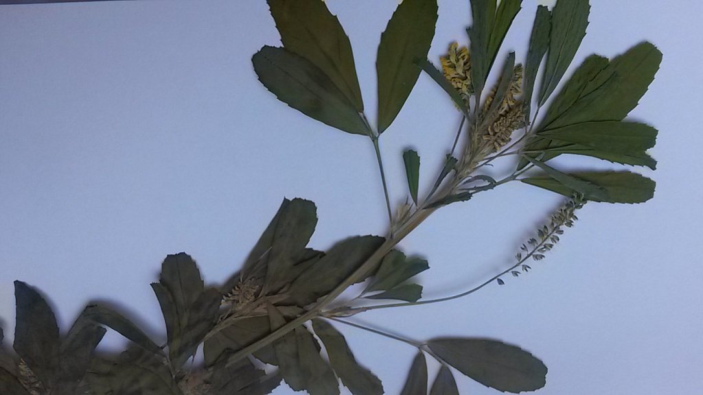 am_910100_6912111_513410.jpg