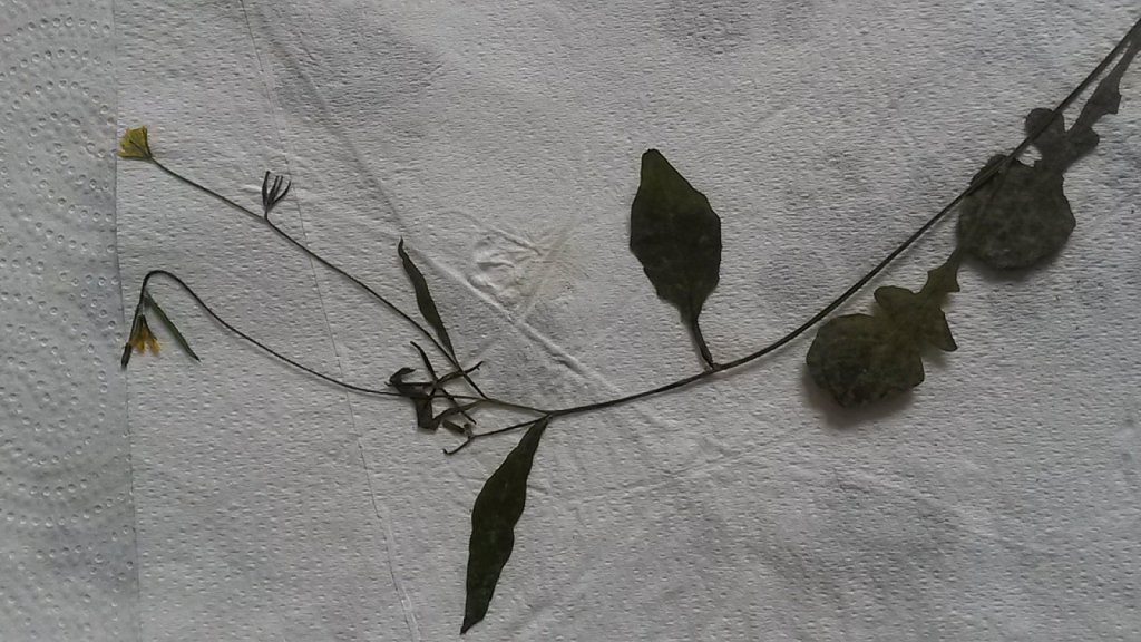 am_910100_6912123_259697.jpg