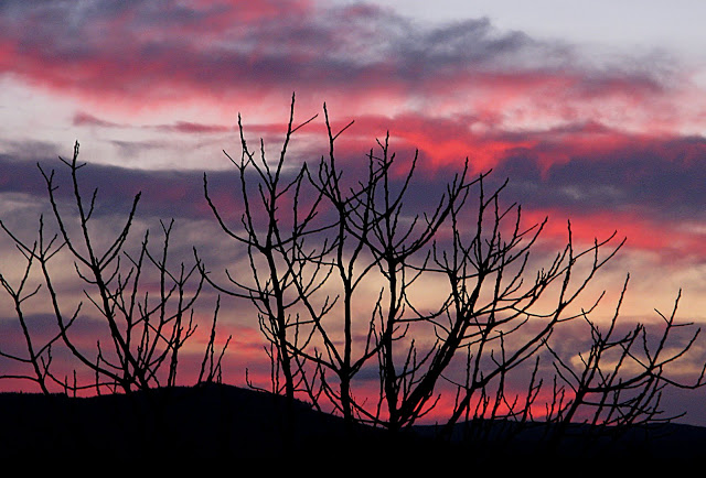 amanece%20el%20d%C3%ADa%201.jpg