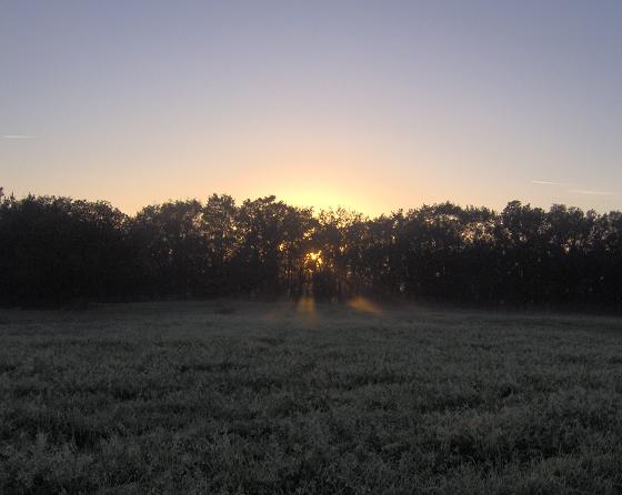 Amanecer.JPG
