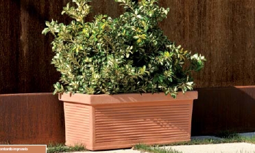 ambiente-130901909.jpg