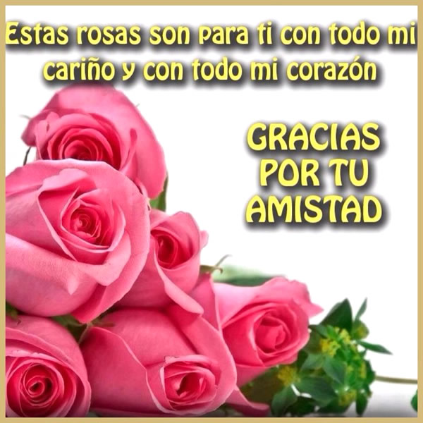 amigo.jpg