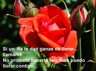 amistad%2001.jpg