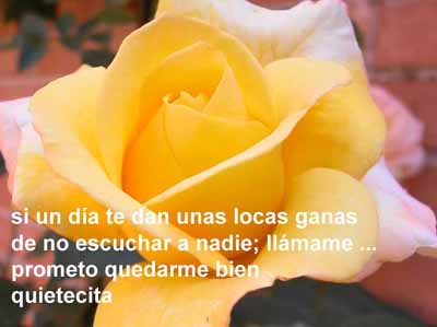 amistad%2002.jpg