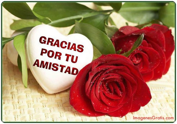 amistad_102.jpg