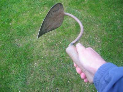 amocafre010lg.jpg