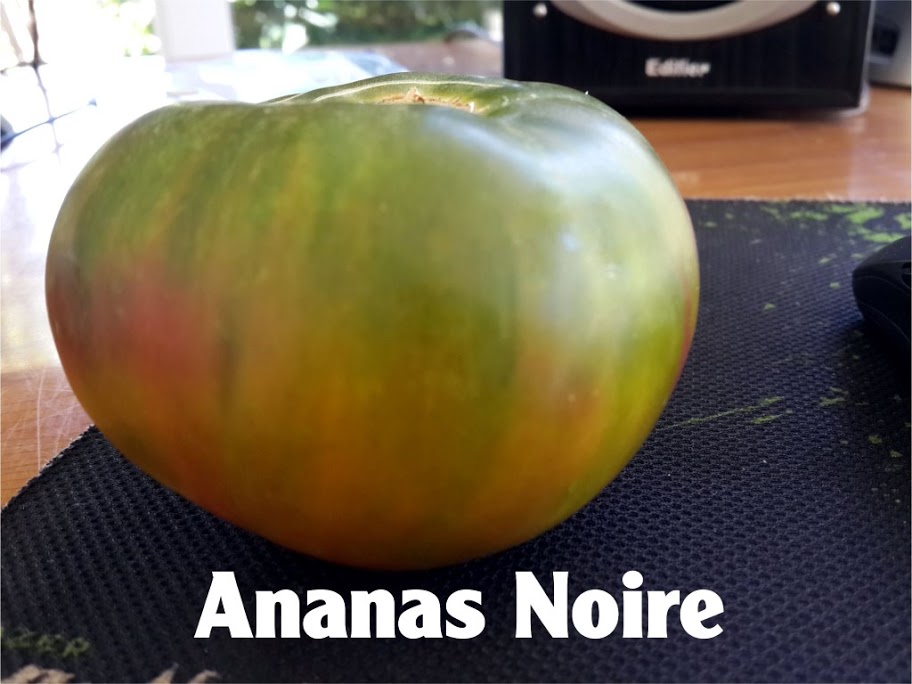 ANANAS%2520NOIRE%25201.jpg