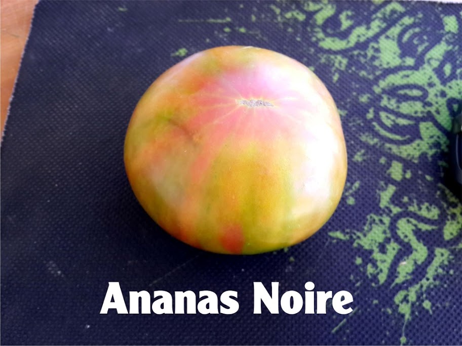 ANANAS%2520NOIRE%25203.jpg