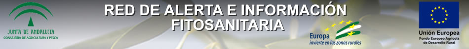 andaluciabis.jpg