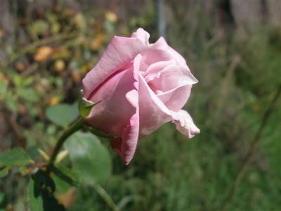 andalusia_026_Small_.jpg
