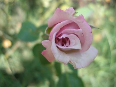 andalusia_027_Small_.jpg