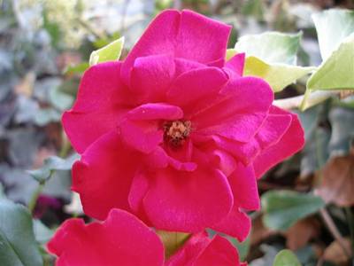 andalusia_027_Small_1.jpg
