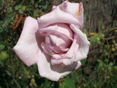 andalusia_039_Small_.jpg