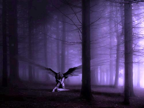 angel-en-la-noche-violeta.jpg