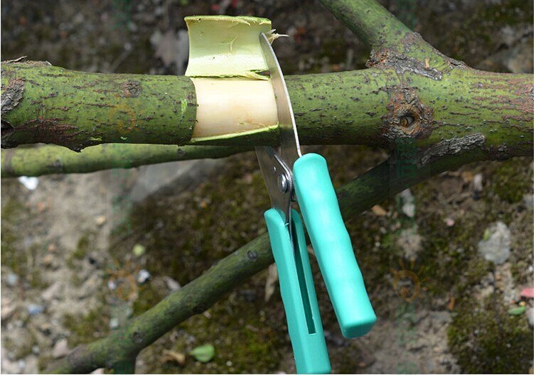 -anillo-para-jard-n-herramienta-para-cortar-rboles-frutales-uvas-arbustos-huerto-cuchillo-tijera.jpg