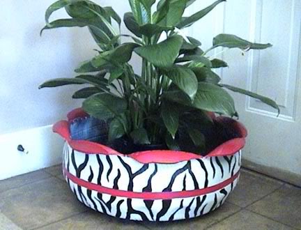animalplanter.jpg
