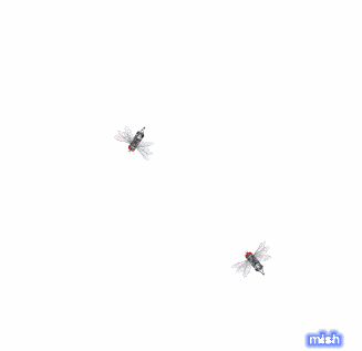 animated-fly-image-0045.gif