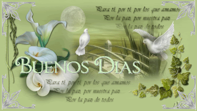 Animation1buen.gif
