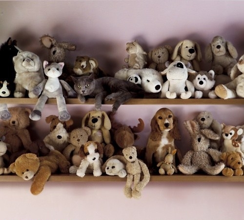 animaux-cache-cache-5.jpg