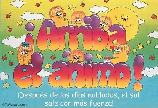 animo-1.jpg