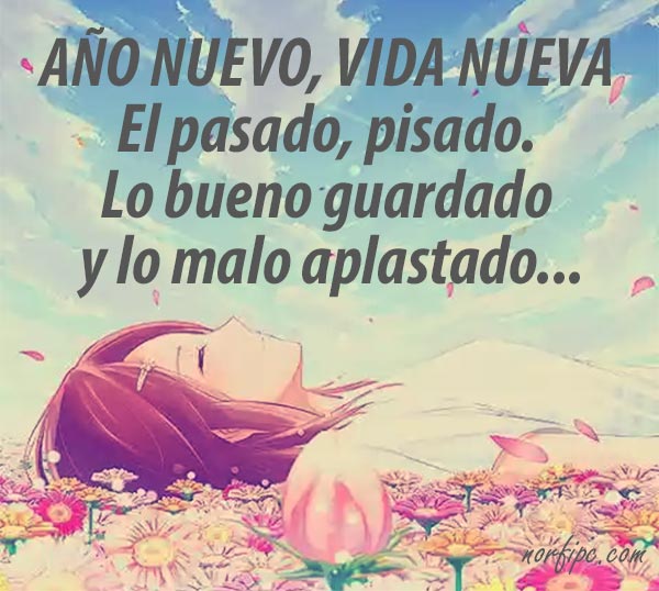 ano-nuevo-vida-nueva.jpe
