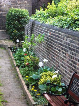 another-view-of-garden.jpg