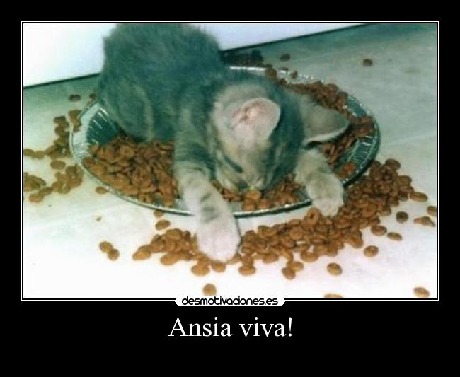ansiavivadespripcingrfica.jpg