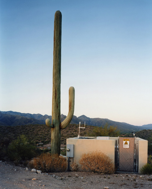 antenaCactus.jpg