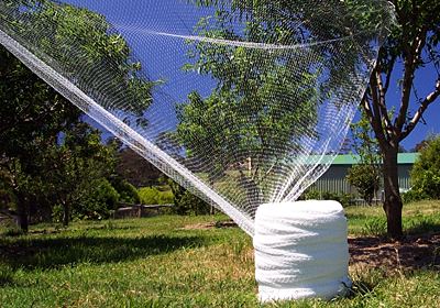 anti-bird-net-1.jpg