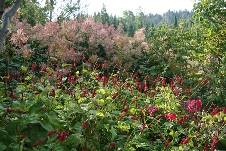 Aot2012-09139041.jpg