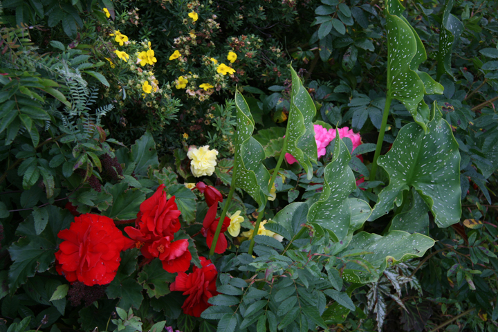 Aot2012-09139046.jpg