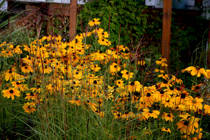 Aout2012-0823880815.jpg