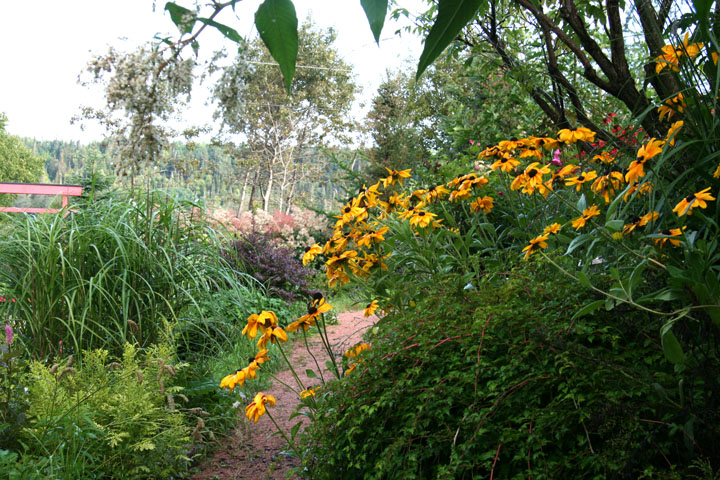 Aout2012-0823880820.jpg