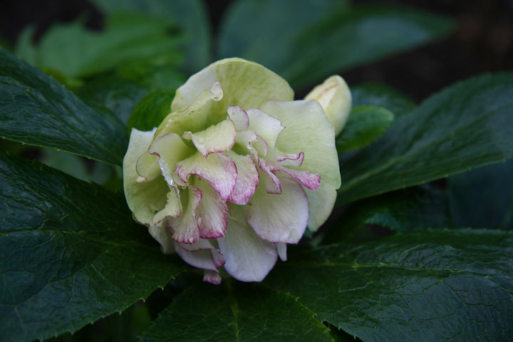 Aout2012-0823880823.jpg
