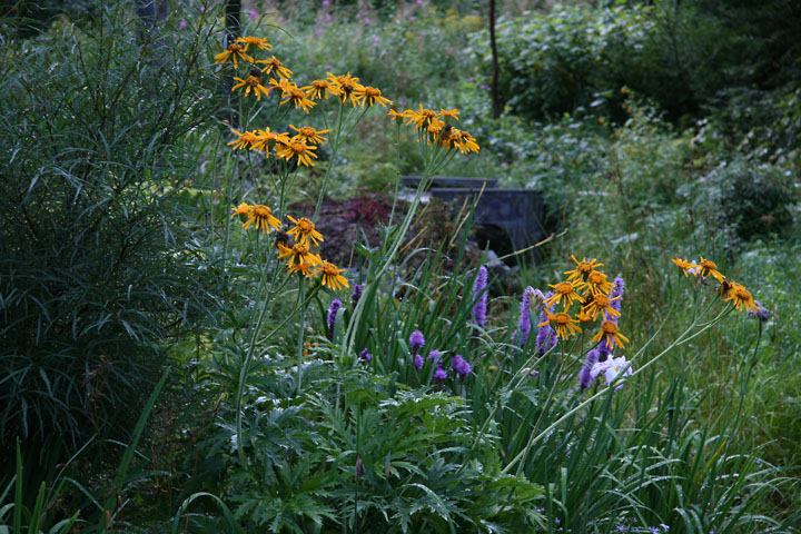 Aout2012-0823880828.jpg