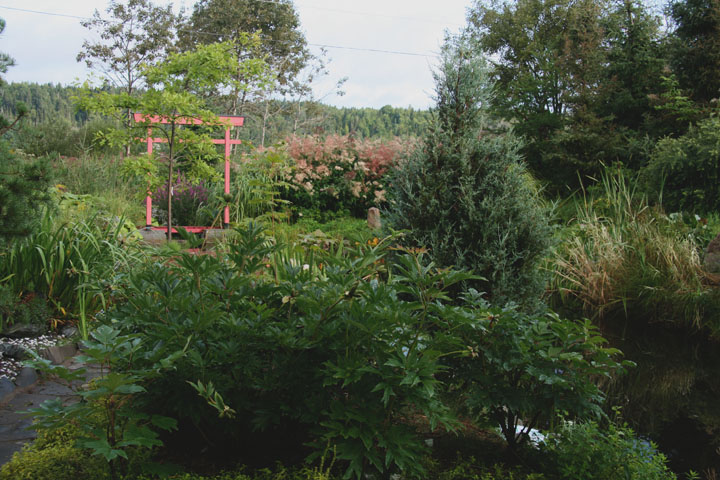 Aout2012-0823880834.jpg